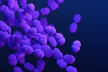 Resistencia a los antibióticos: la amenaza oculta que acecha detrás de Covid-19