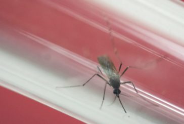 Sanofi rejects US Army request for ‘fair’ pricing for a Zika vaccine