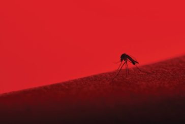 Año 2019: Cómo la primera campaña de vacunación contra el dengue del mundo terminó en un desastre #3