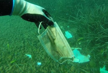 Máscaras que medusas’: los desechos de coronavirus terminan en el océano